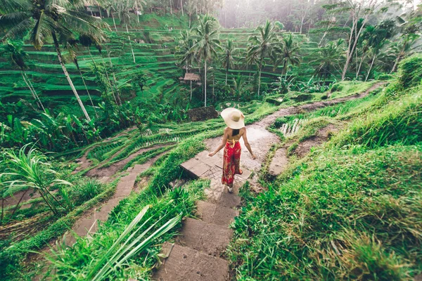 Kvinna på Tegalalang Rice Terrace på Bali — Stockfoto