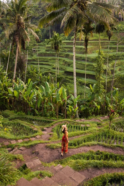 Kvinna på Tegalalang Rice Terrace på Bali — Stockfoto