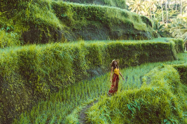 Donna sulla terrazza di riso Tegalalang a Bali — Foto Stock