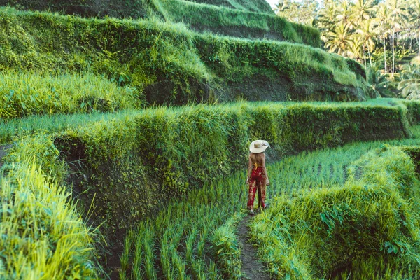 Mujer en la terraza de arroz Tegalalang en Bali —  Fotos de Stock