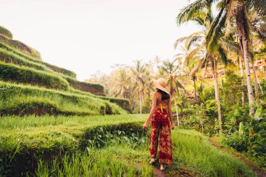 Bali 'de Tegalalang pirinç terasında kadın