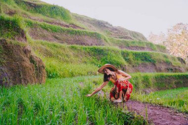 Bali 'de Tegalalang pirinç terasında kadın