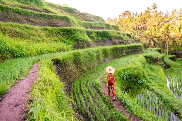 Vrouw bij Tegalalang Rice terrace in Bali — Stockfoto