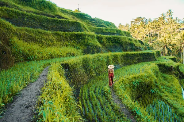 Mujer en la terraza de arroz Tegalalang en Bali —  Fotos de Stock