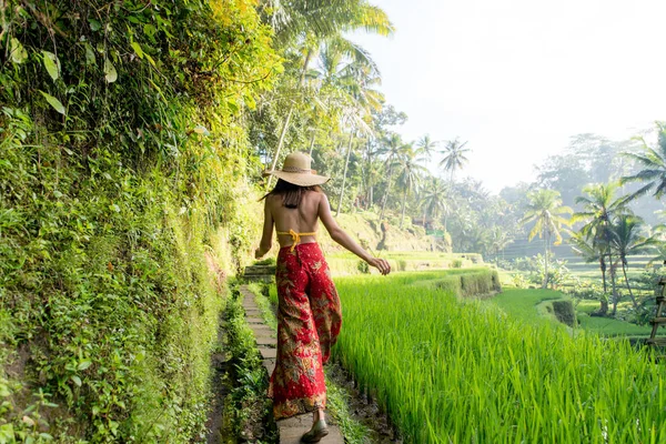 Kvinna på Tegalalang Rice Terrace på Bali — Stockfoto