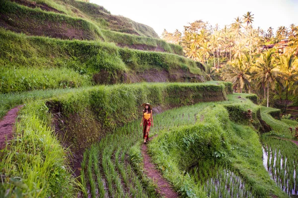 Mujer en la terraza de arroz Tegalalang en Bali —  Fotos de Stock