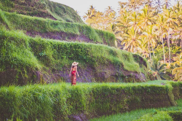 Жінка на Tegalalang рису тераса на Балі — стокове фото
