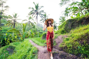 Bali 'de Tegalalang pirinç terasında kadın