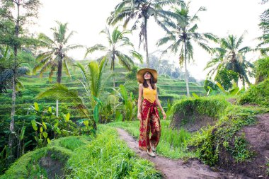 Bali 'de Tegalalang pirinç terasında kadın