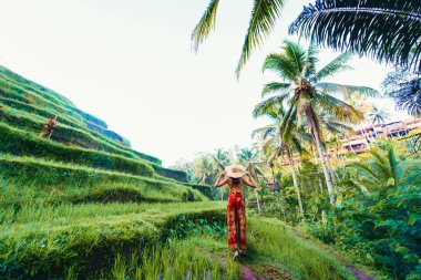 Bali 'de Tegalalang pirinç terasında kadın