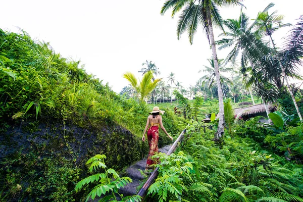 Mujer en la terraza de arroz Tegalalang en Bali —  Fotos de Stock