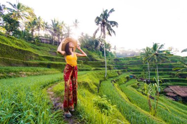 Bali 'de Tegalalang pirinç terasında kadın