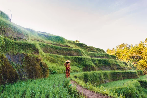 Woman at Tegalalang rice terrace in Bali — Stock Photo, Image