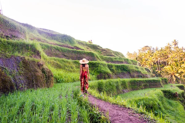 Kvinna på Tegalalang Rice Terrace på Bali — Stockfoto