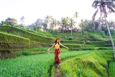 Bali 'de Tegalalang pirinç terasında kadın