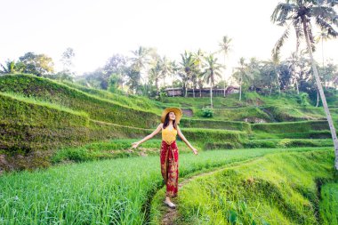 Bali 'de Tegalalang pirinç terasında kadın