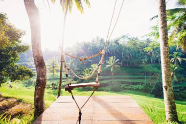 Bali 'de Tegalalang pirinç terasında kadın