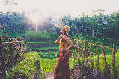 Bali 'de Tegalalang pirinç terasında kadın