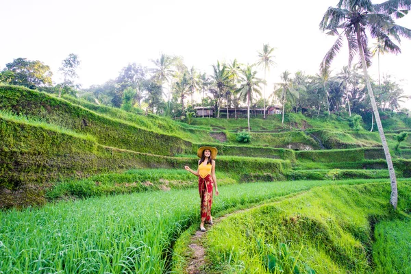 Woman at Tegalalang rice terrace in Bali — Stock Photo, Image