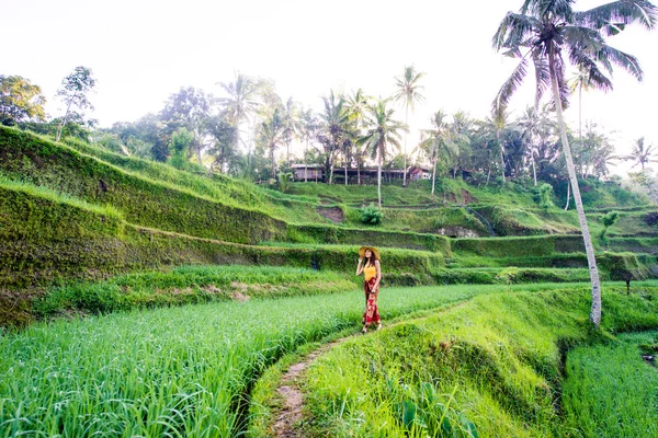 Donna sulla terrazza di riso Tegalalang a Bali — Foto Stock