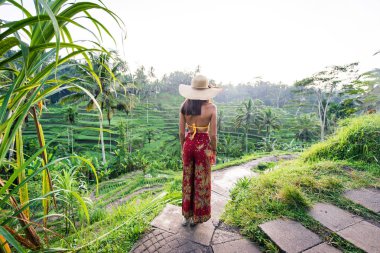 Bali 'de Tegalalang pirinç terasında kadın