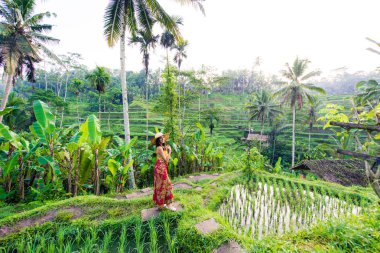 Bali 'de Tegalalang pirinç terasında kadın