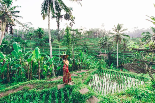 Kvinna på Tegalalang Rice Terrace på Bali — Stockfoto