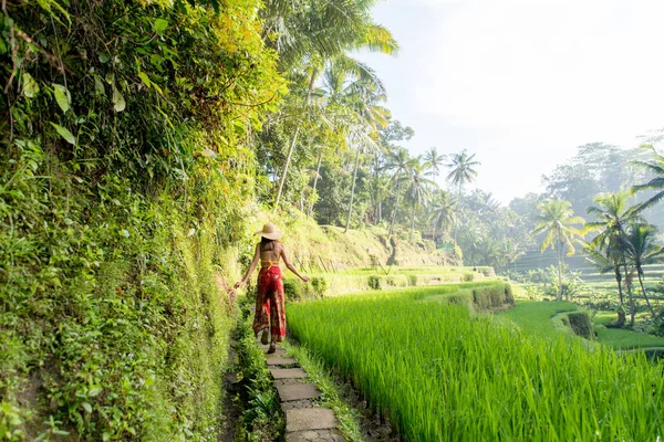 Woman w: Tegalalang taras ryżowy w Bali — Zdjęcie stockowe