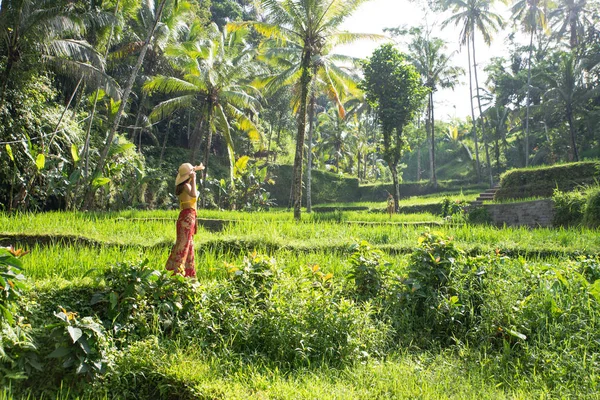 Kvinna på Tegalalang Rice Terrace på Bali — Stockfoto