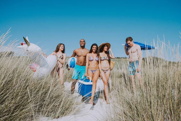 Arkadaş grubu sahilde birlikte kutlamak zaman harcama — Stok fotoğraf