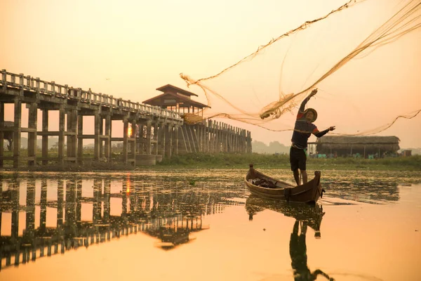 Myanmar balıkçısı göle ağ atıyor. 