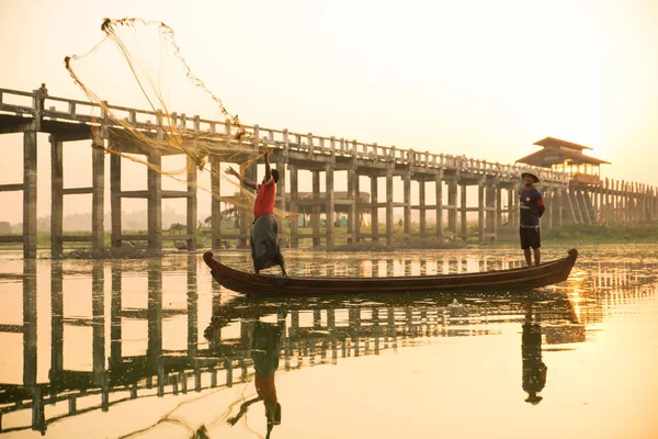 Myanmar balıkçısı göle ağ atıyor. 