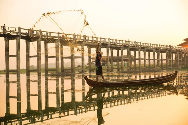 Myanmar balıkçısı göle ağ atıyor. 