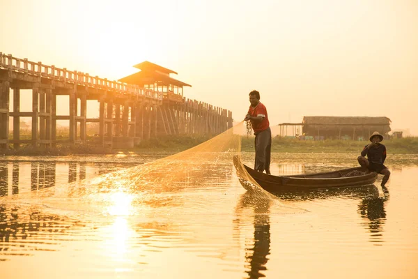 Myanmar balıkçısı göle ağ atıyor. 