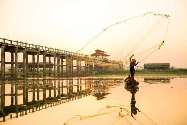 Myanmar balıkçısı göle ağ atıyor. 
