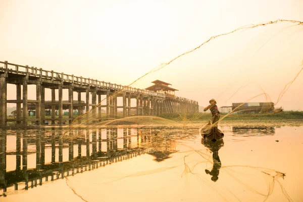 Myanmar balıkçısı göle ağ atıyor. 