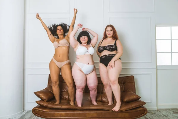 Group Oversize Women Posing Studio Όμορφα Κορίτσια Που Αποδέχονται Ατέλειες — Φωτογραφία Αρχείου