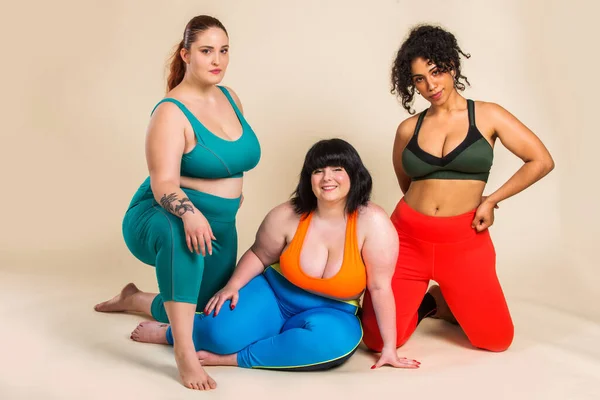 Group Oversize Women Posing Studio Όμορφα Κορίτσια Που Αποδέχονται Ατέλειες — Φωτογραφία Αρχείου