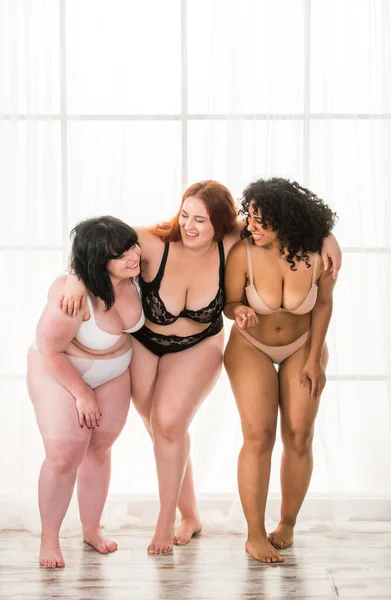 Group Oversize Women Posing Studio Όμορφα Κορίτσια Που Αποδέχονται Ατέλειες — Φωτογραφία Αρχείου