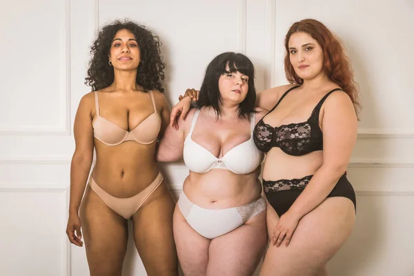 Group Oversize Women Posing Studio Όμορφα Κορίτσια Που Αποδέχονται Ατέλειες — Φωτογραφία Αρχείου