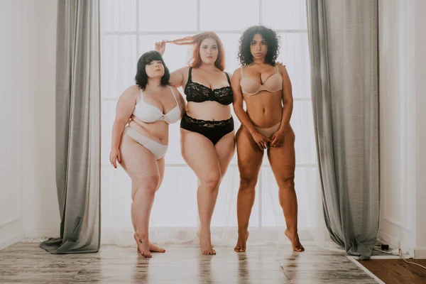 スタジオでポーズをとる3人のオーバーサイズの女性のグループ 美少女たちが身体の不完全さを受け入れ スタジオでの美ショット 身体の受容 身体のポジティビティと多様性についての概念 — ストック写真