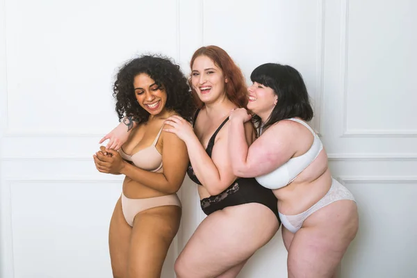 Group Oversize Women Posing Studio Όμορφα Κορίτσια Που Αποδέχονται Ατέλειες — Φωτογραφία Αρχείου