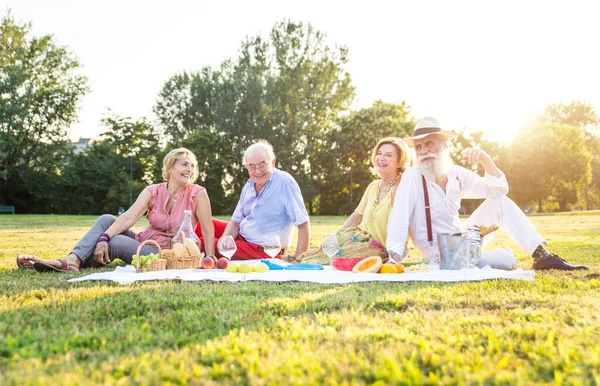 Gruppo Anziani Fare Picnic Parco Divertirsi — Foto Stock