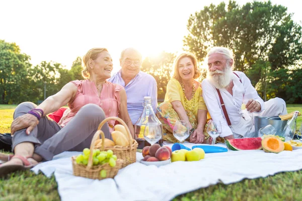 Gruppo Anziani Fare Picnic Parco Divertirsi — Foto Stock