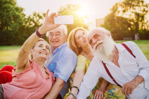 Group Seniors Making Picnic Park Having Fun — Stock Photo, Image