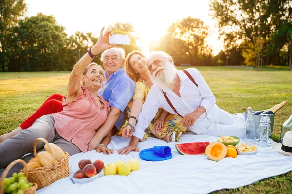 Group of seniors making a picnic at the park and having fun.