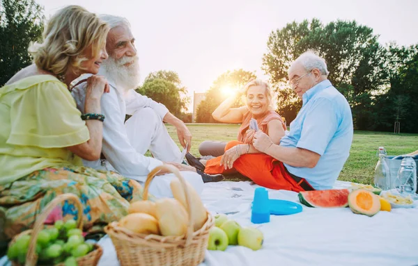 노인들이 공원에서 소풍을 즐기고 — 스톡 사진