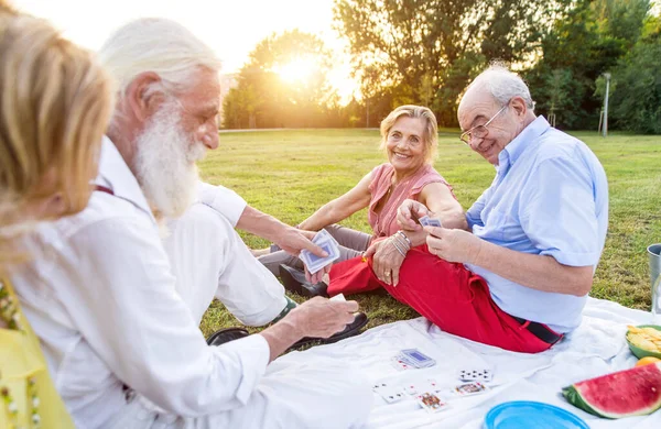 公園でピクニックをして楽しんでいる高齢者のグループ — ストック写真