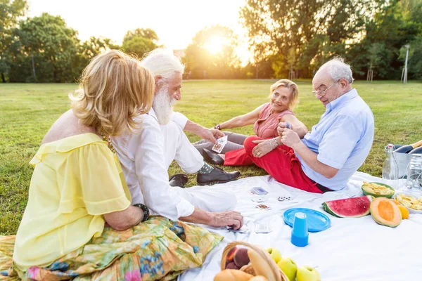 Группа Пенсионеров Устраивает Пикник Парке Веселится — стоковое фото