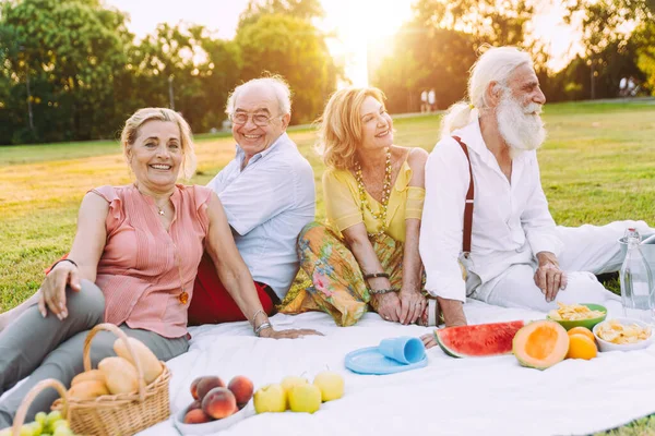 Grup Seniori Care Fac Picnic Parc Distrează — Fotografie, imagine de stoc